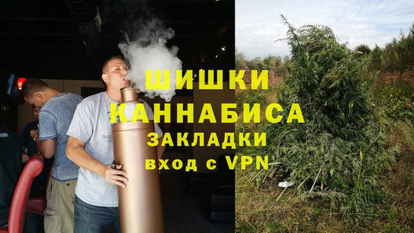 PSILOCYBIN Надым