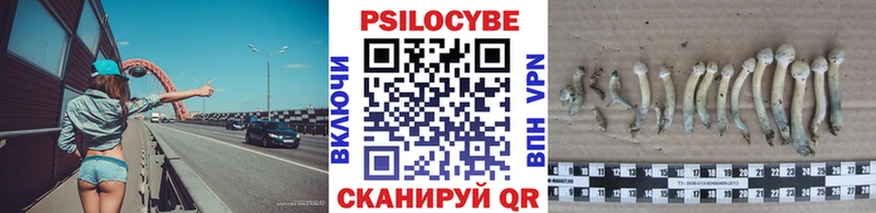 KRAKEN сайт  Нахабино  Псилоцибиновые грибы GOLDEN TEACHER 